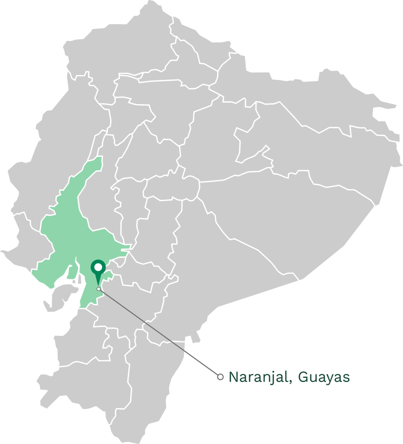 2 Icapar Naranjal
