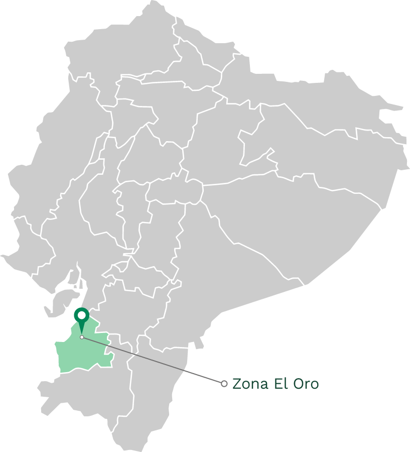 2 Pista Banasur