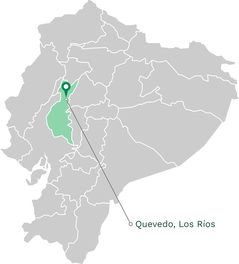 4 Icapar Quevedo